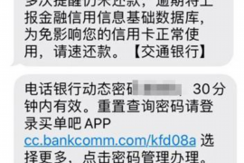 玛多如何避免债务纠纷？专业追讨公司教您应对之策